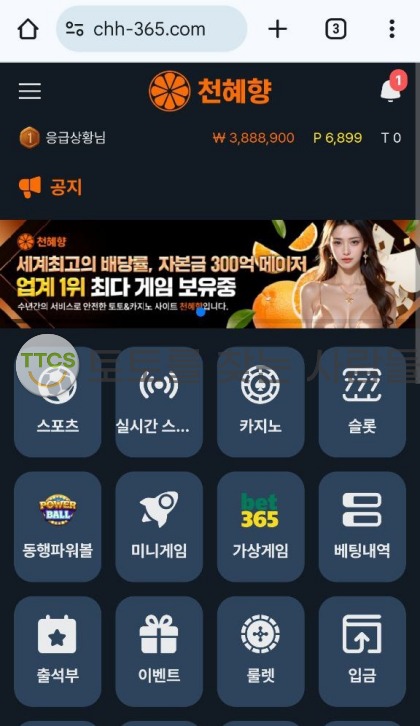 먹튀사진 캡쳐