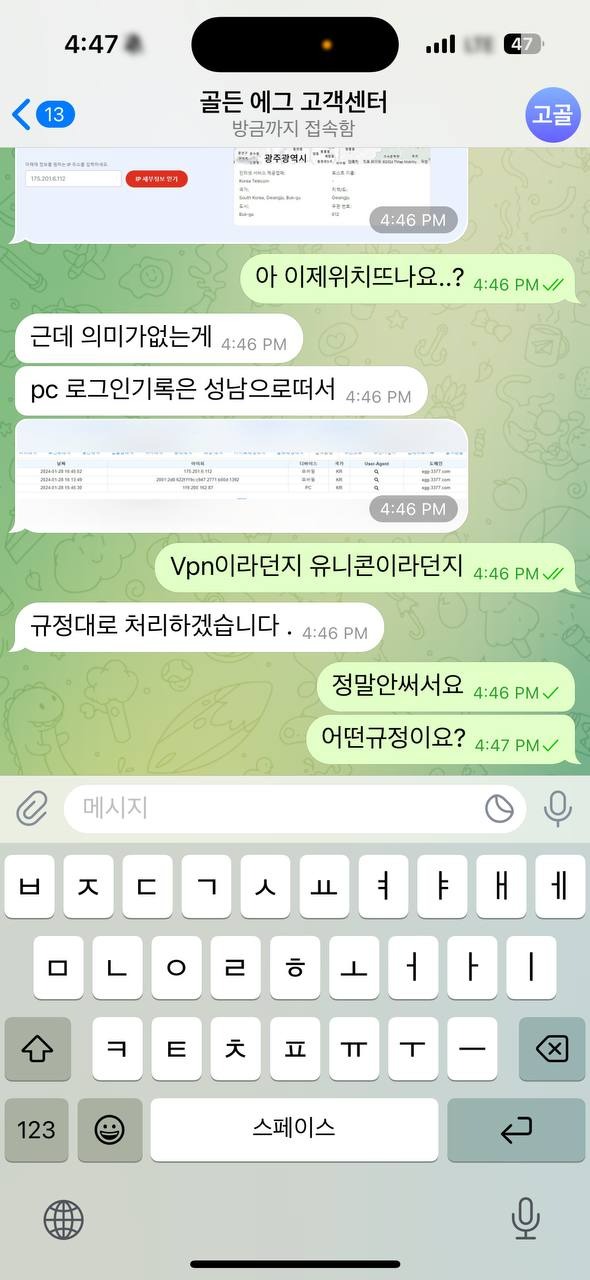 골든에그4.jpg